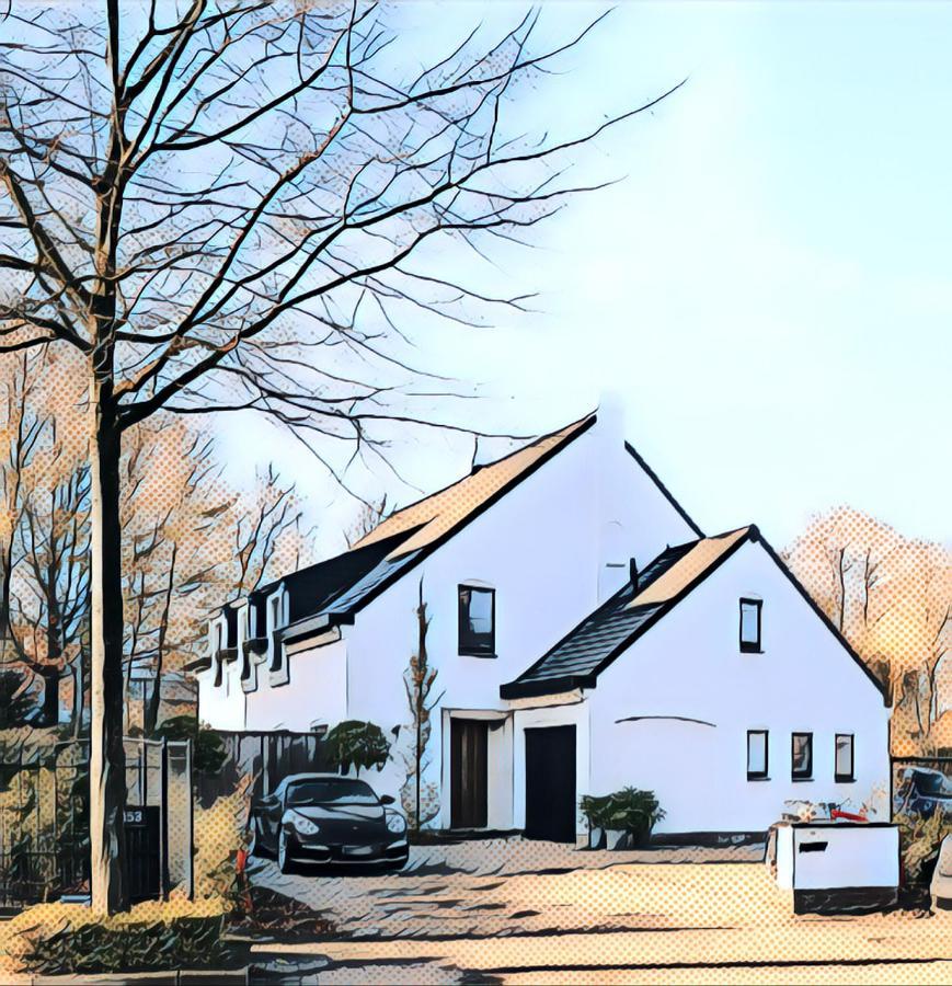 Nummer 151 Villastudios Hasselt Exterior foto