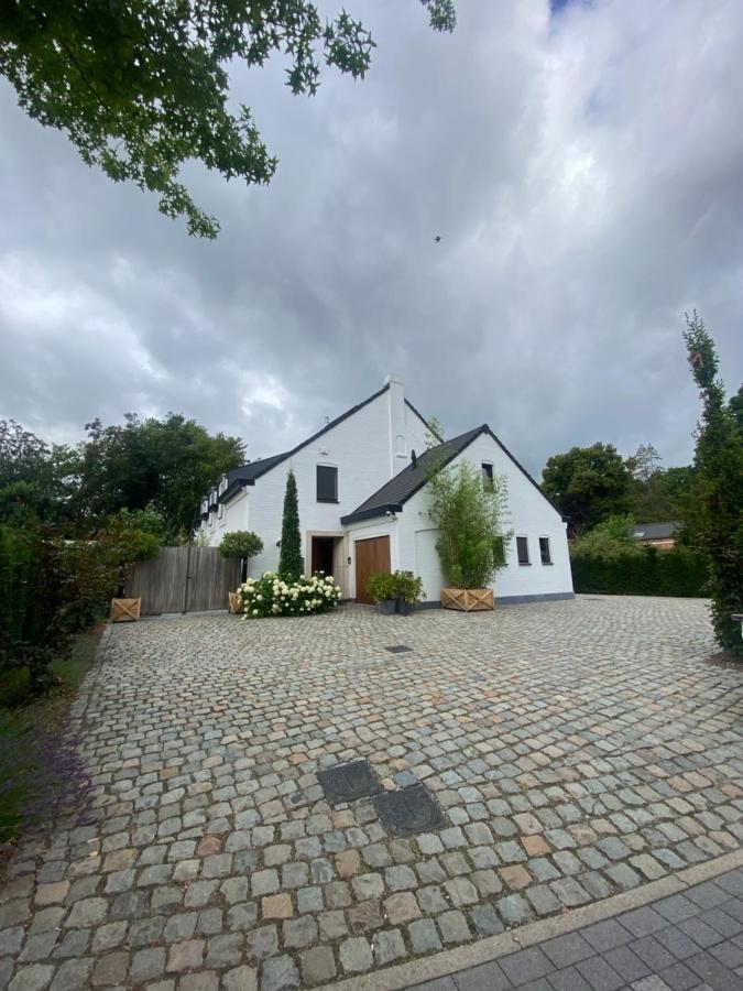 Nummer 151 Villastudios Hasselt Exterior foto