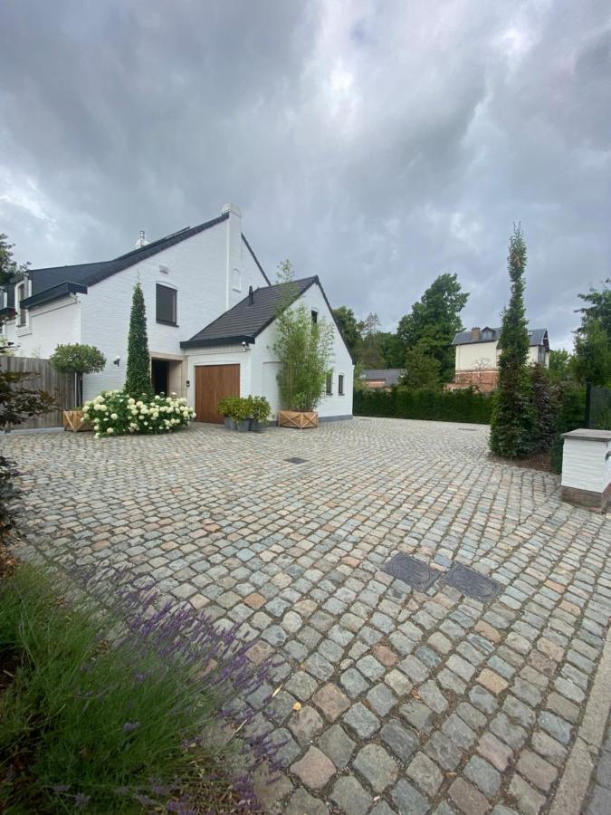 Nummer 151 Villastudios Hasselt Exterior foto