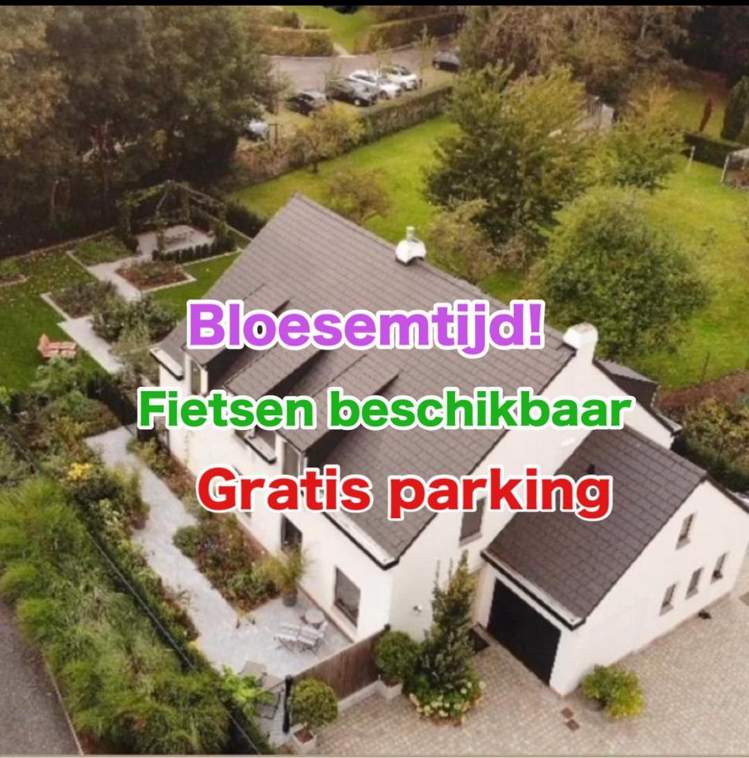 Nummer 151 Villastudios Hasselt Exterior foto