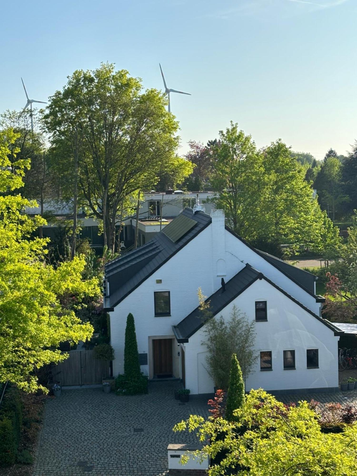 Nummer 151 Villastudios Hasselt Exterior foto